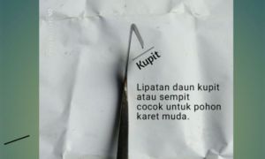 PISAU SADAP KARET BAJA PUTIH NO.1 ORIGINAL SUPER TAJAM