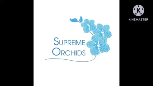 เชื้อรากำจัดแมลง บิวเวอร์เรีย (Beauveria) ชนิดเชื้อสด มีประสิทธภาพสูง ปลอดภัยต่อสุขภาพ ไม่ทำลายสิ่งแวดล้อม 250g