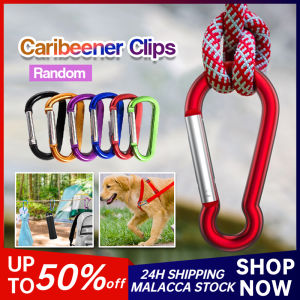 Climbing Aluminum Alloy Carabiner Buckle Hook Clip Snap Key D-ring Locking Carabiner Clip Set For Hammocks Camping Hiking Backpacking