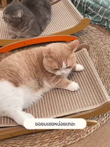 ที่ลับเล็บแมว ขนาดใหญ่ ประกอบง่าย ทนต่อการสึกหรอ โซฟาแมว โซฟาลับเล็บแมว ที่ขูดเล็บ ของเล่นแมว อ่างลับเล็บ ที่ฝนเล็บแมว