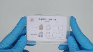 9 Tấm Mô Hình Răng Composite Nha Khoa Dùng Để Thực Hành Mô Hình Giải Phẫu Răng Cho Sinh Viên & Chuyên Gia Mẫu Nghiên Cứu