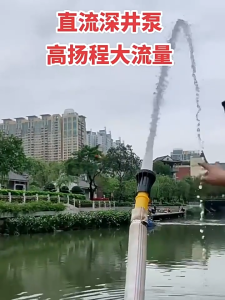 12V Solar Powered Deep Well Submersible Water Pump 40-60m Lift Max 6m³/H Flow For Farm Irrigation Water Supply