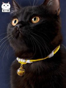 Adjustable Resin Cat Collar Woven Design without Bell for Kittens No Tagging Needed Simple Neck Ring Pet Accessories for Cats