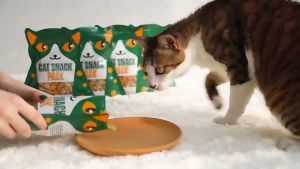 Yaho Cat Snack Pack 80g Nutrition Cat Biscuits Cookies Catnip Biscuits for Cat Treats Kitten Teeth Cleaning Cat Snack Treats