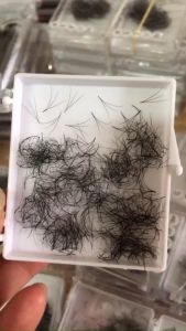 Mi Fan 3D 1h 500 FanLông Mi Volume 3D Cong C - D Fan Xưỡng Đẹp Như Fan Tay Chân Keo NhỏBắt Keo Cực Tốt_Shop Mi Hà