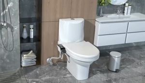 JoyLife DIY Easy Installation Fresh Water Spray Dual Nozzle Attachment Bidet Toilet System (Model: JTS-007)