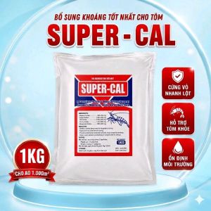 Bột Sống Khỏe Tốt Nhất Cho Tôm Super-Cal 1Kg - Cứng Vỏ Nhanh Lột Hỗ Trợ Tôm Khỏe Ổn Định Môi Trường Ao Nuôi