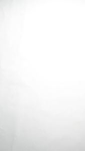 Highest Kids - Kaos Polo Motif Shark Anak Series HKPL 08