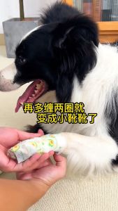 Alas Kaki Perban Foot Binding Sepatu Anabul Untuk Anjing dan Kucing