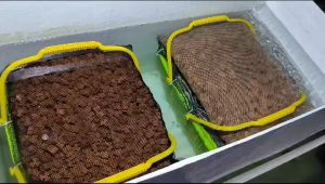 NEO MEDIA PURE 1 liter / media filter aquarium rumah bakteri neomedia pure Bakteri Untuk Filter Akuarium Pengiriman Cepat Media Filter - Lazada