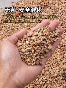 Pet Maintenance Super Incubator Set Egg Hatching Box for Lizards Turtles Reptiles Reproduction