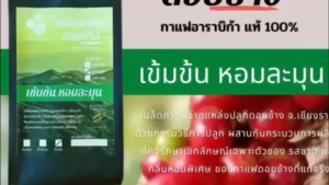 เมล็ดกาแฟดอยช้าง อราบิก้า100 % เมล็ดกาแฟสดคั่วบด กาแฟคั่วอ่อน/คั่วกลาง/คั่วเข้ม บรรจุถุงติดวาล์ว 250กรัม ส่งฟรี กาแฟป่าเมี่ยง