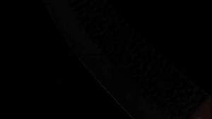 Professional Japanese Chef Knife Heavy Duty Meat Butchering Boning Kitchen Knives 15° V Blade With Cover