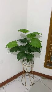 DAUN PALEM GERIGI DAUN ARTIFICIAL TANAMAN HIAS POJOKAN RUMAH BUNGA ARTIFISIAL POHON PALSU