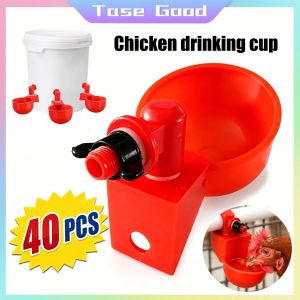 Tase Good 40pcs Automatic Chicken Water Cup Quail Nipple Waterer Bowl Farm Coop Poultry Drinking Water Feeder for Chicks Duck Goose