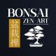 Bonsai Zen-Art