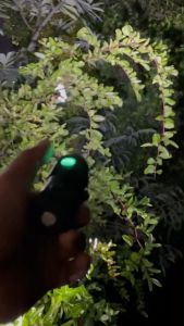 ไฟฉาย กันน้ำได้ กันสนิม ซูมได้  แสงสว่างจ้ามากเป็นพิเศษ  แบตเตอรี่ในตัวสามารถชาร์จไฟได้โดยใช้ USB