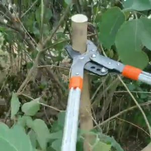 EOSM กรรไกรตัดกิ่ง กรรไกร คีมตัดกิ่งไม้ ที่ตัดกิ่งไม้ ปรับควายาวได้ 68-106CM มีดตัดกิ่งไม้ เลื่อยกิ่งไม้ ตัดกิ่งไม้สูง ตัดกิ่งไม้