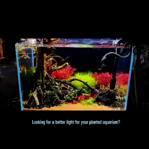BSFH Spectrum RGB Full-Spectrum Aquascape Light Aquarium Light – Bluetooth App Version(碧水风和植物鱼缸灯app版本)