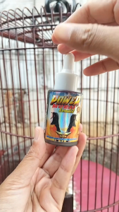 Power Murai Konslet Vitamin Lomba Suplemen Penggacor Burung