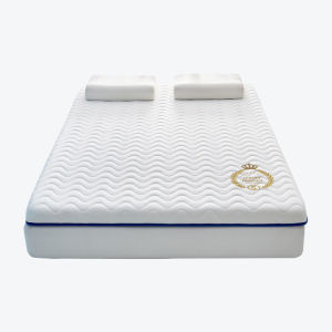 Modest Soft and Hard Latex Mattress for Home Bedroom Sponge Pad Special for Single Bed Dormitory Rental Property Tatami
