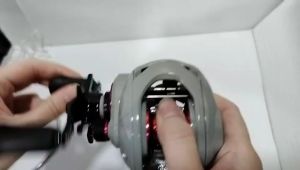 EXP HORIZ BAITCASTING(BC) FISHING REEL