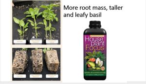 Growth Technology Houseplant Focus (With Seaweed Compound Fluid Fertilizer Humic Acids Fulvic Acids Contain Calcium Oxide and Trace Elements)