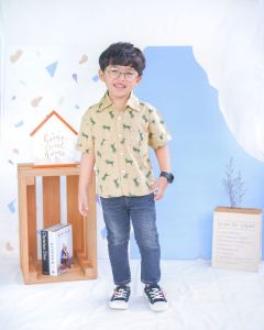 READY KEMEJA ANAK KATUN / HEM ANAK / KEM ANAK /KEMEJA POPLIN BABY LEO MOTHERKIDS