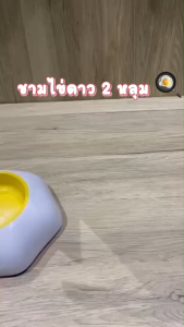 LK366 ชามอาหารรูปไข่ดาว 2หลุมB11-3