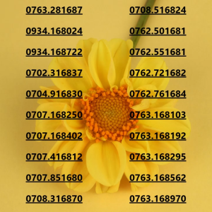 Sim Mobifone 168 giữa tài lộc phát triển không ngừng và may mắn(CHƯA KÍCH HOẠT PHẢI ĐĂNG KÝ CHÍNH CHỦ )