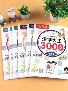 识字大王3000字（全套6册）大开本幼升小常用识字库 幼儿童学前看图识字基础书 Children Chinese Character Learning Picture Book pinyin Buku WeBuild