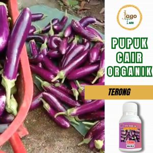 Pupuk Organik Cair Terong 100 Ml Booster Pelebat Tanaman Jadi Lebih Gemuk By Jagotani Yogyakarta
