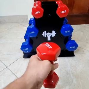 Tạ tay 1-10kg gang bọc cao su chống xước vỡ sàn FED ( Màu Đen)