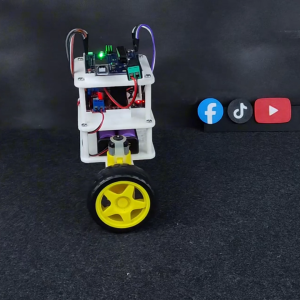 ELEXHUB Self Balancing Robot Kit