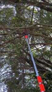 Premium Extension Shear Telescopic High Branch Shears Saw 2in1 Tree Cutter Pruner Trimmer Gunting Saw Gergaji 高空伸缩高枝锯