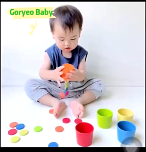 Kids Montessori Color Classification Cup