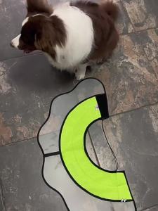 hipidog | Extra Long Deep Soft Elizabethan Collar