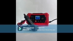 ASLI 6A cas aki charger APR JAPAN digital fast charging mobil motor