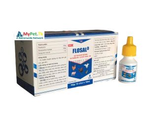 10 Chai FLOSAL-D 10ml - hô hấp khò khè CRD