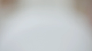 ตุ๊กตาเรซิ่น นางเงือก สัตว์ทะเล แต่งสวนจิ๋ว แต่งเคสมือถือ DIY ตกแต่ง V135 ส่งจากไทย