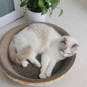 รูปอ่างลับเล็บแมวขนาดใหญ่ 25x40cm เพื่อเล่นแมว ฝนเล็บแมว เป็นที่นอนแมวไปในตัว