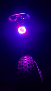 BUCKLOS | Đèn Hậu Xe Đạp Nhiều Màu Sắc - Đèn LED Sạc Năng Lượng Mặt Trời Type-C Đèn Hậu Xe Đạp Leo Núi Đèn Hậu Xe Đạp Đường Trường Đèn Chiếu Sáng Phía Sau Nổi Bật