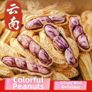 Colored Peanuts Roasted And Dried