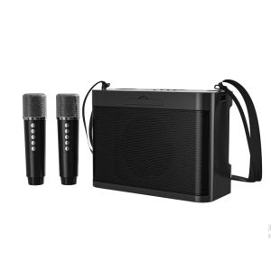 Loa Bluetooth Không Dây Với Micro Kép Di Động Karaoke Máy Âm Thanh Nổi HiFi Mạnh Mẽ Boombox Cuối Cùng Đảng Tặng 2026