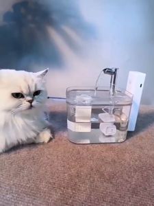 【1 add water for 7days】Cat water fountain Cat water dispenser 1500ML 2500mAh Wireless Sound≤20dB Replaceable filter element Whole detachable 3modes Water fountain for cat Pet water dispenser Dog water drinker dispenser Water dispenser for cat