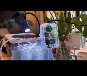 🔥Ready Stock🔥Bycolor Transparent Oxygen Pump Strong Silent Air Pump Cool Design See Through Body