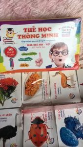 Bộ thẻ học thông minh song ngữ cho bé nhận biết 16 chủ đề với 416 thẻ