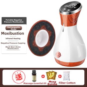 JUJIASHOU | Electric Heated Bian Stone Therapeutic Device for Moxibustion Cupping Scraping