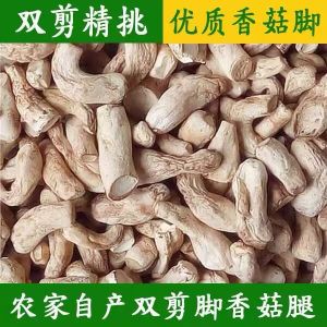 Xixia Mushroom Foot 500G Double Cut Large Mushroom Foot Dried Mushrooms Silk Commercial Mushroom Leg Dry Goods Dried Mushroom Handle Flower Mushroom