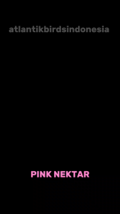 Paket Hemat 2 Pcs Pink Nektar Super 140ml Suplemen Vitamin Nutrisi Pakan Protein Burung Makan Buah